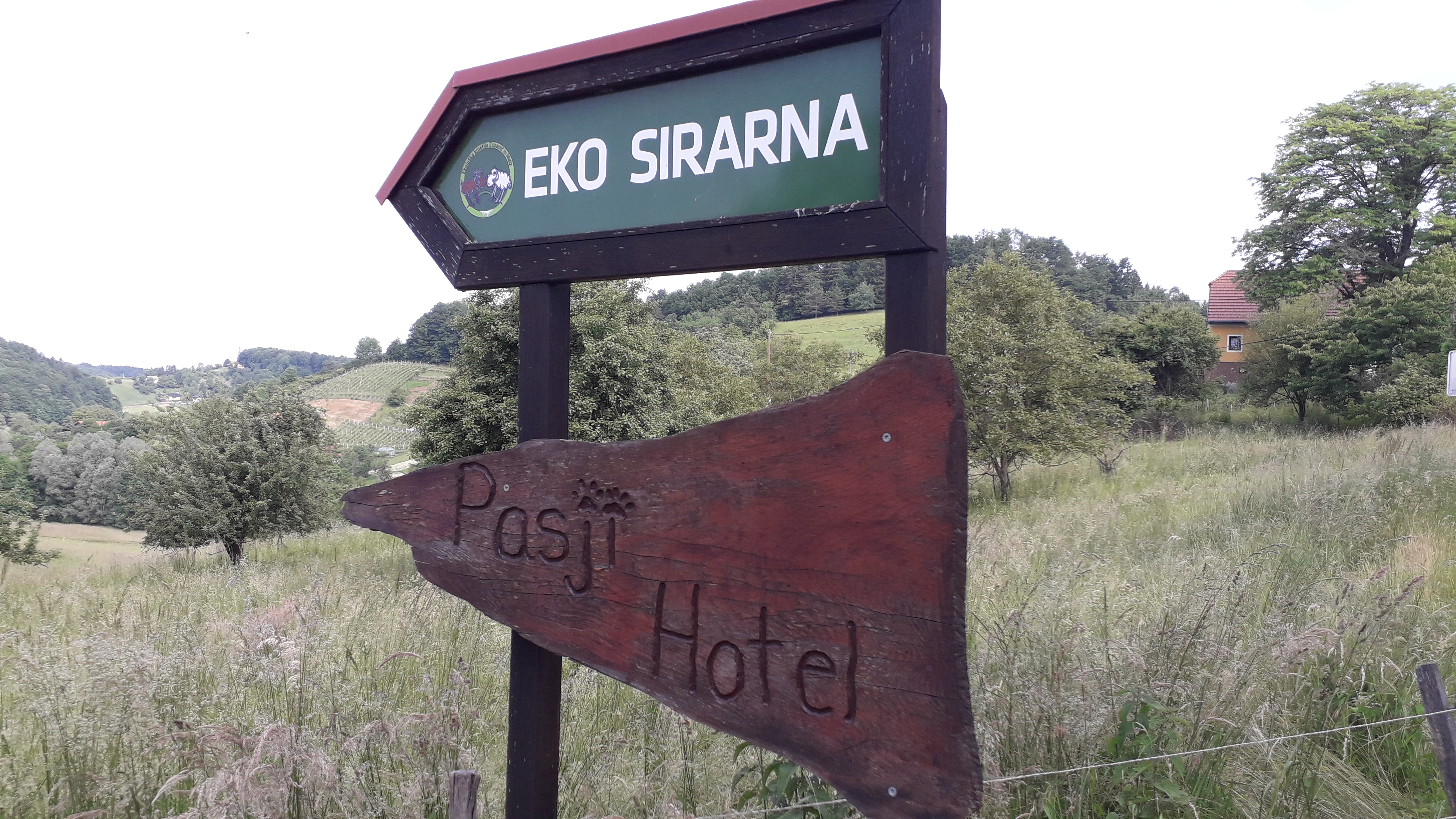 Ekskurzija Ovtar pod kozolcem 3