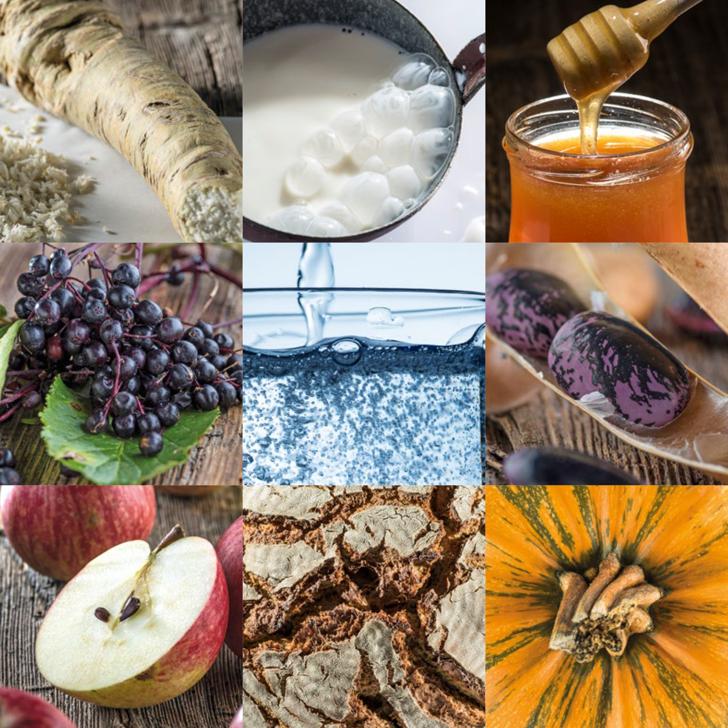  flagship products 9erKombi 1